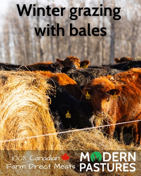 Modern bale