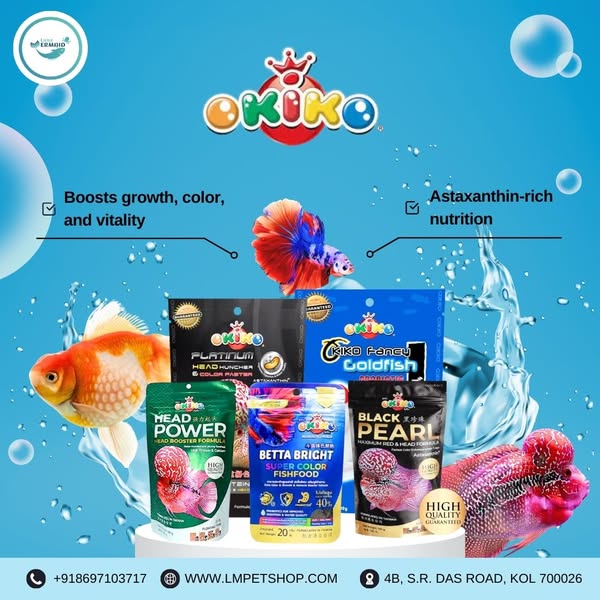 Shop for B2B supplies