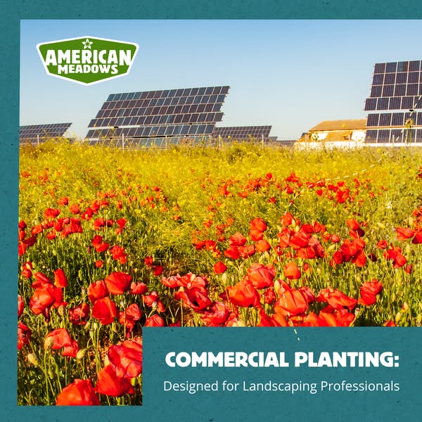 Exceptional landscaping