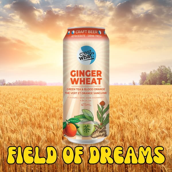 Satisfying field