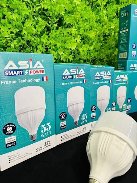 Smart Light Bulb