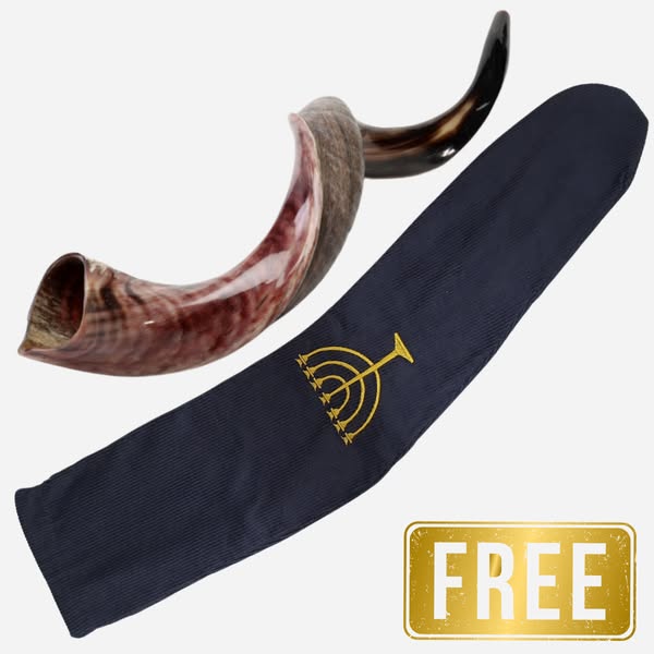 Natural horn