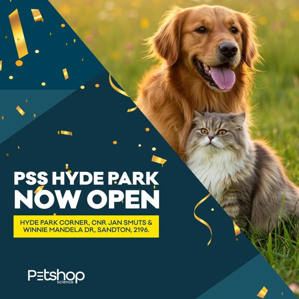 Shop for Cat Toys