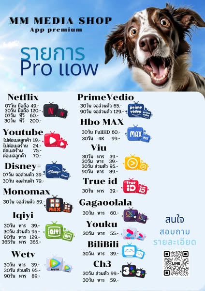 bilibili.com