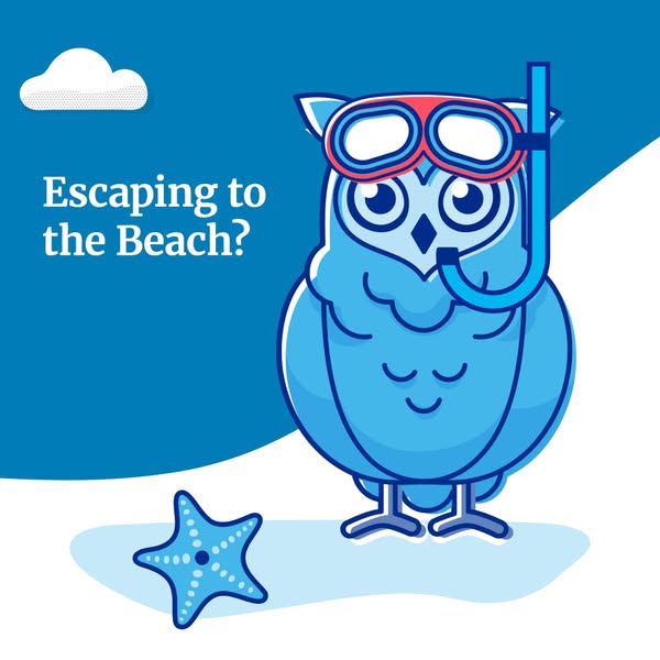 Wise beach