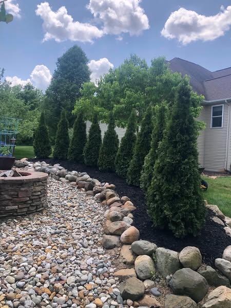 Fresh retention