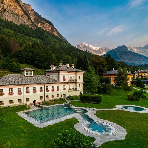 Wellness Wonders