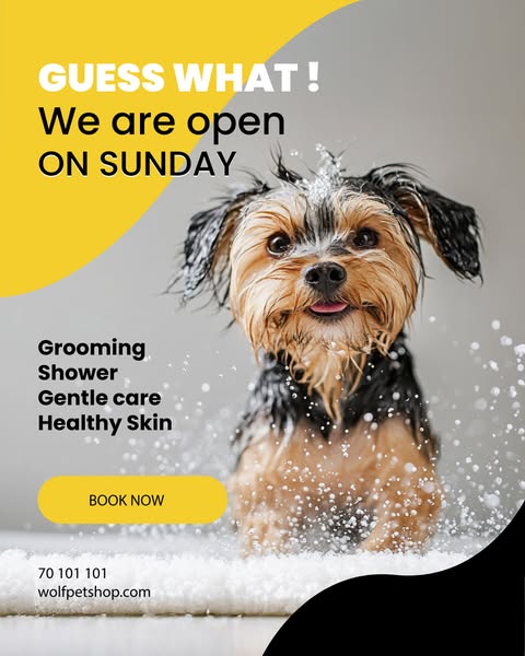 Shop for pet grooming products