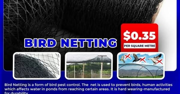 Shop for Pest Control Solutions