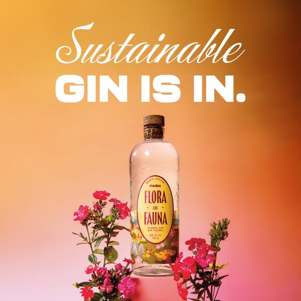 Shop for Biodegradable Packaging