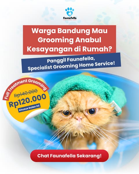 Shop for pet grooming
