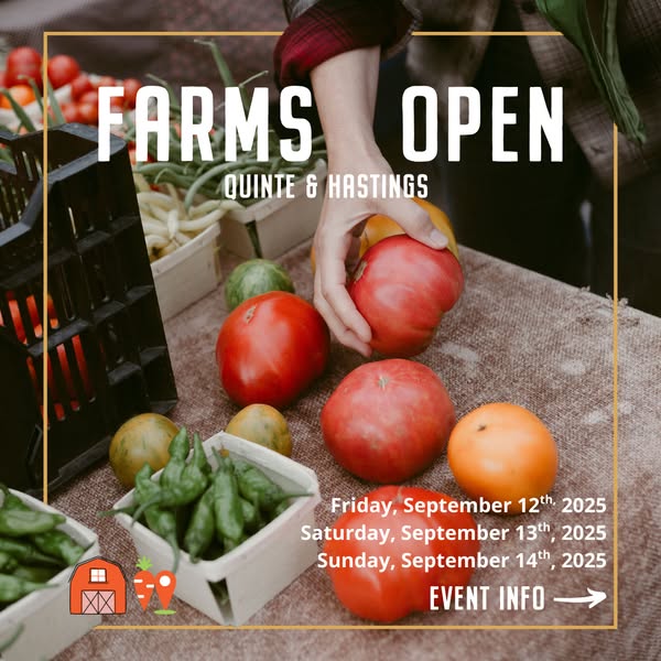 Shop for local businesses