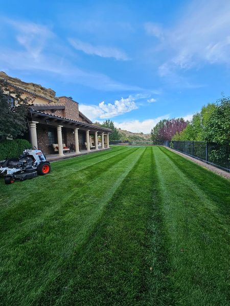 Lawn Sprinkler