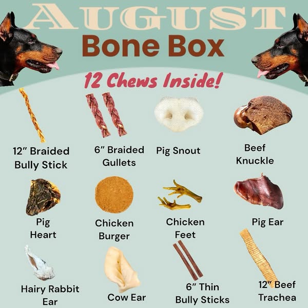 Subscription Box