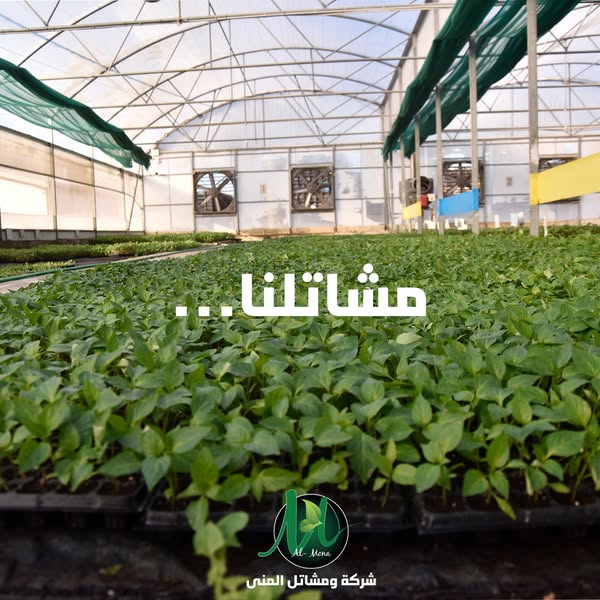 planting