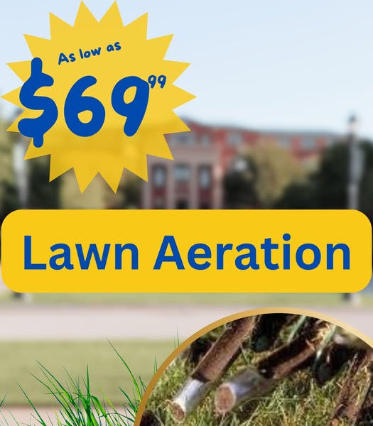 Lawn Aerator