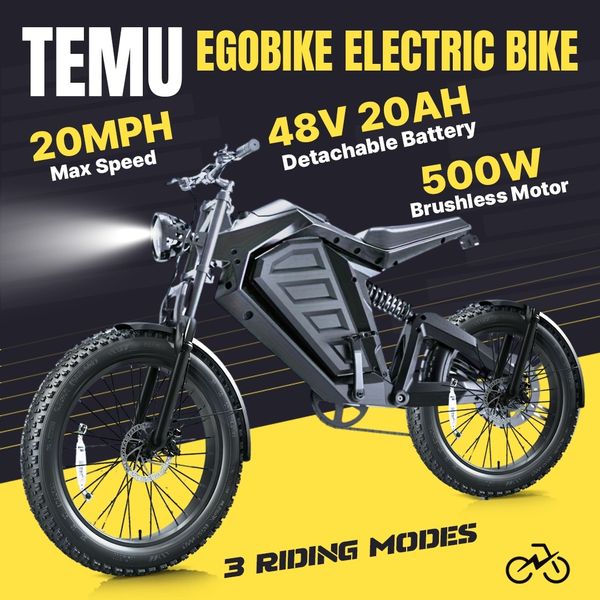 Electric Bike