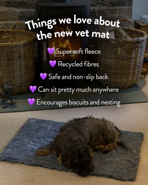 Shop Pets