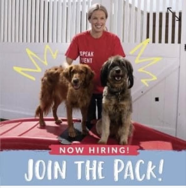 Dependable entry-level
