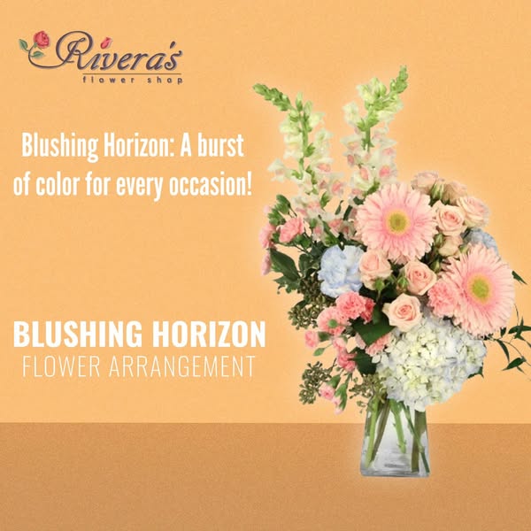 Shop by occasion