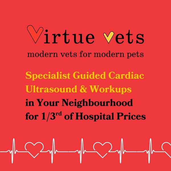 Premium virtue