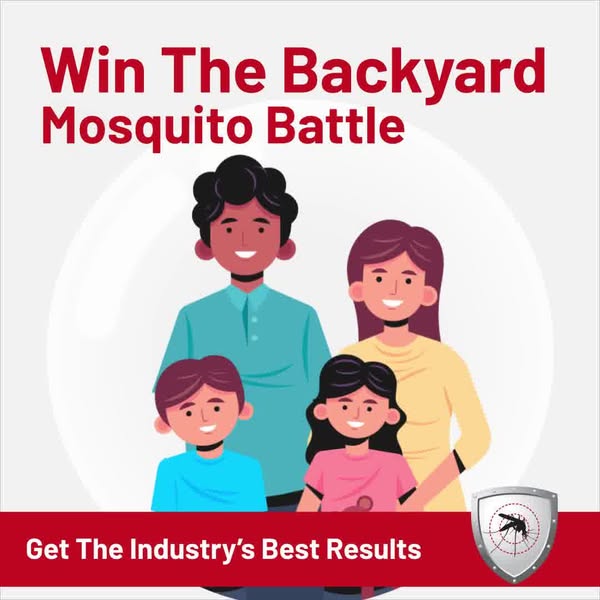 Brand-new mosquito