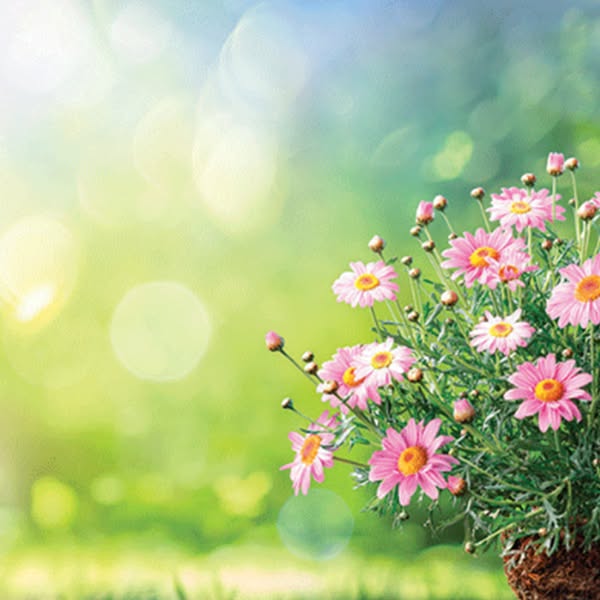 Reliable gardener