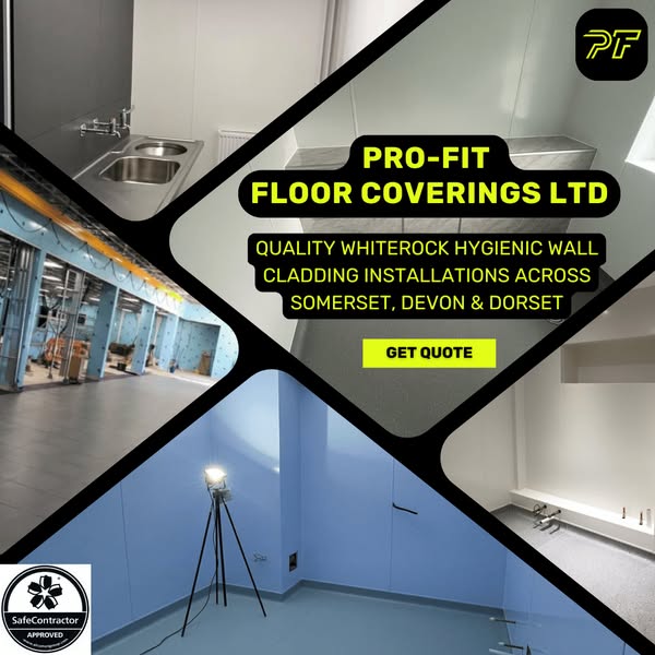 Safe professionally