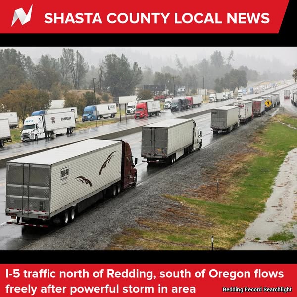 Shasta