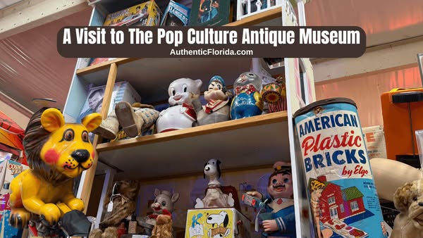 Shop for collectibles