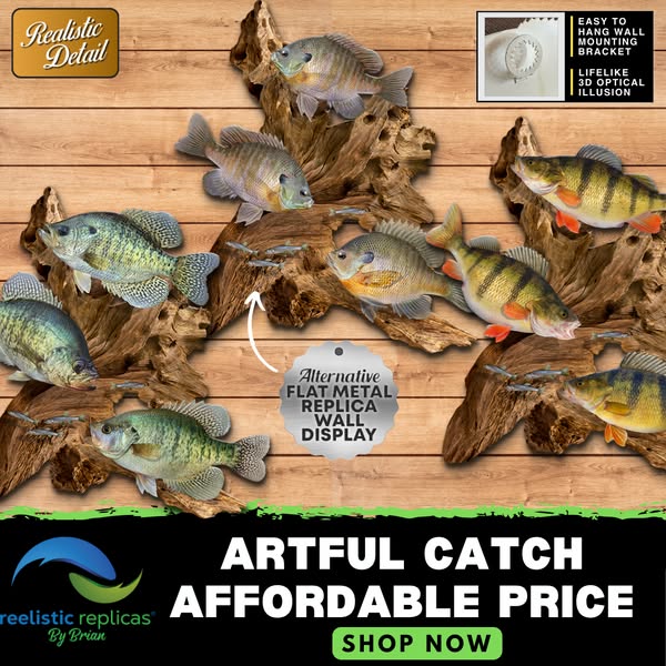 Affordable lifelike