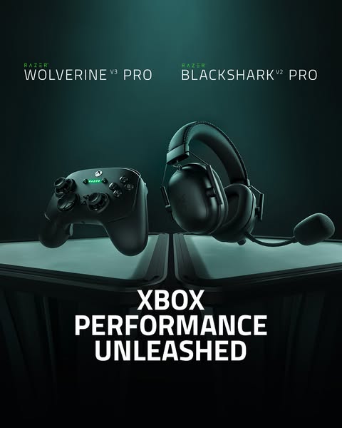 blackshark.com