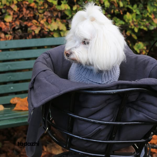 Timeless practicality