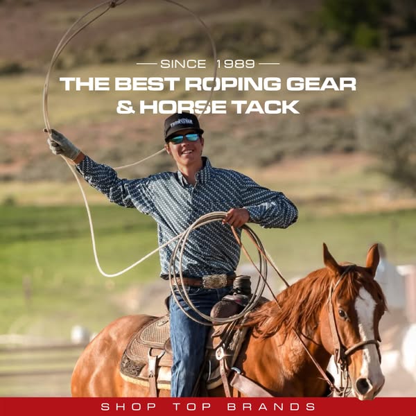 Shop for Horse Tack