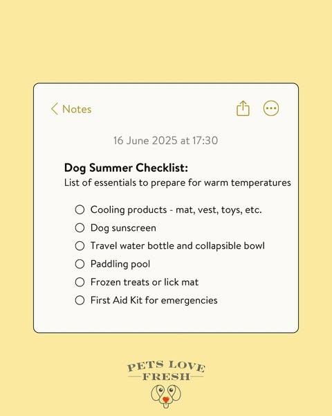 Travel Water Bottle for Pets
