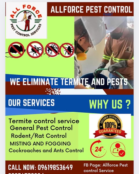 infestation