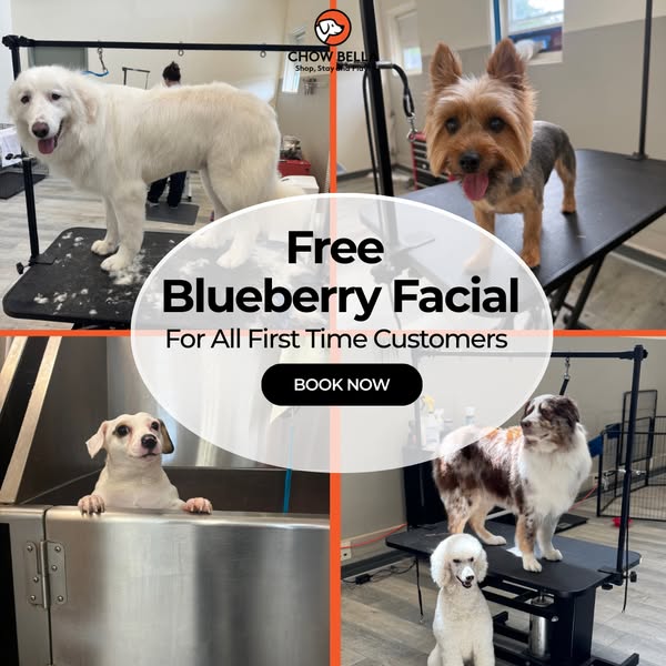 Shop for pet grooming
