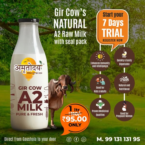 2% Milk