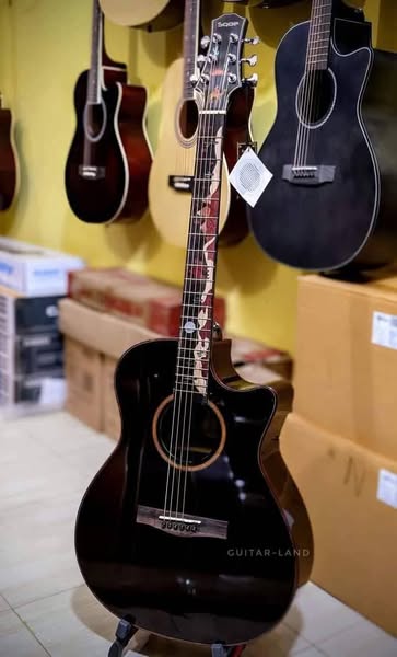 Shop for musical instruments