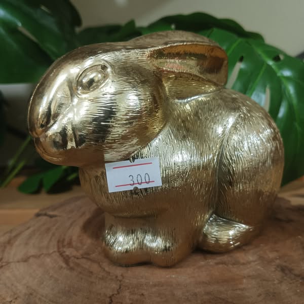 Shop for collectibles