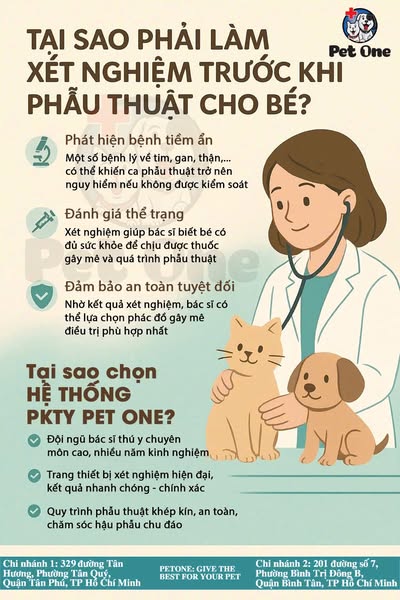 Shop for pet grooming