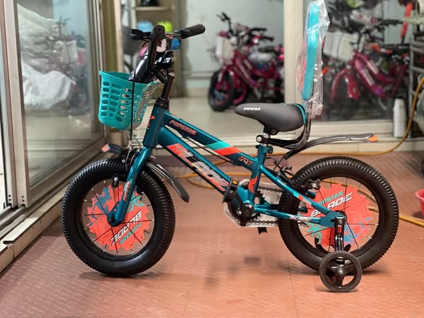 Affordable bicycle