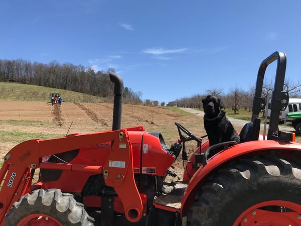 Classic Appalachian