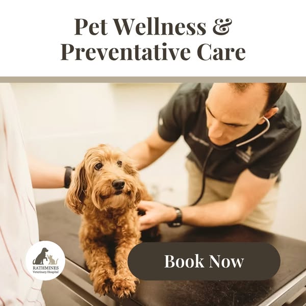 Practical prevention