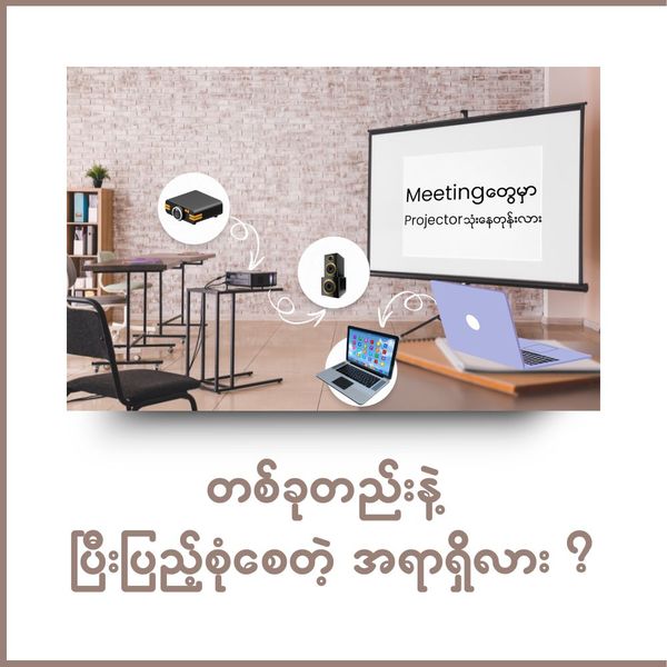 Projector Screen