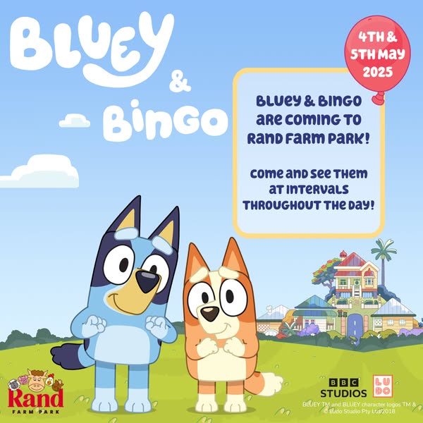 Classic bingo