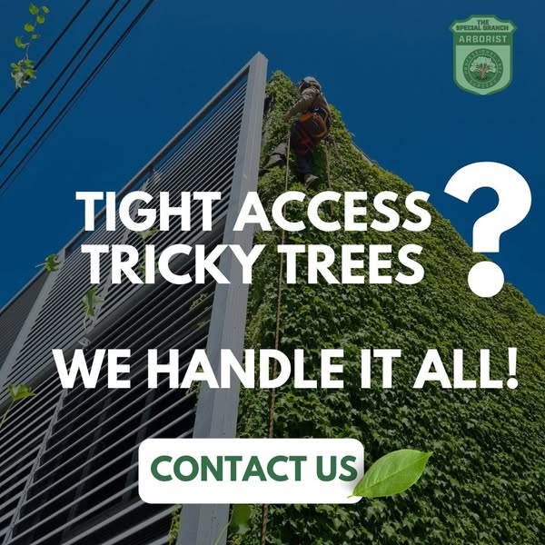 Eco-friendly hard