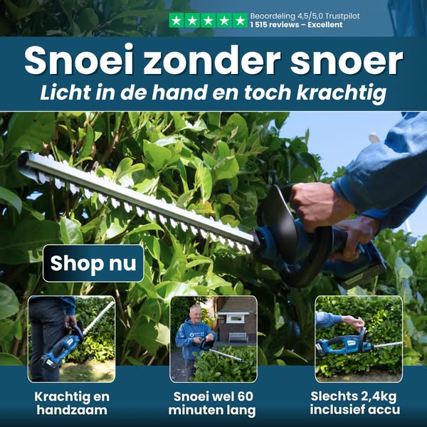 Shop Garden