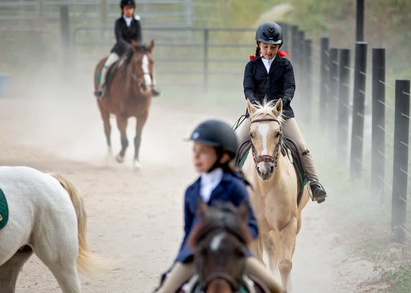 Safe horseback