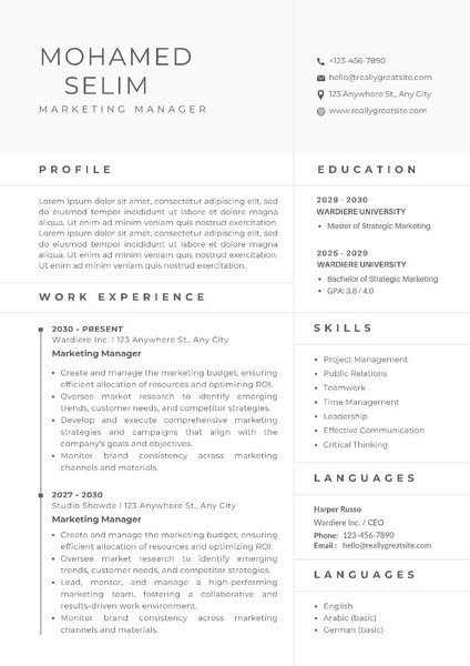 consultant